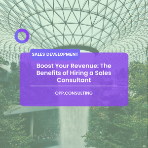 Boost Your Revenue: The Benefits of Hiring a Sales Consultant