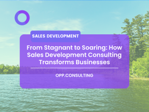 Discover how sales development consulting can elevate your business from stagnant sales to exponential growth. Dive into strategies, benefits, and real-world success stories.